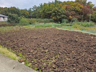 설아농원님의 복숭아 · 영농일지 작성글 사진