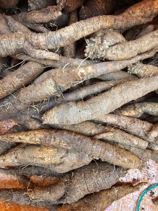 배추5999님의 작성글 사진