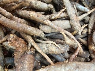 배추5999님의 작성글 사진