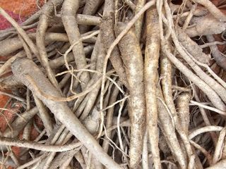 배추5999님의 작성글 사진