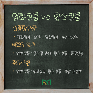 팜모닝 농사공부님의 매일매일 농사공부 · 매일매일 농사공부 작성글 사진