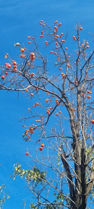 벤틀리 님의 [팜춘문예] 짧은 시 쓰기 · 참여글 작성글 사진