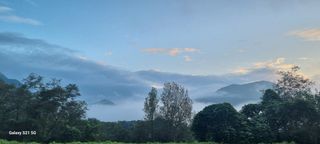 벤틀리 님의 [팜춘문예] 짧은 시 쓰기 · 참여글 작성글 사진