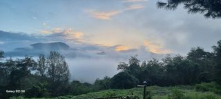 벤틀리 님의 [팜춘문예] 짧은 시 쓰기 · 참여글 작성글 사진