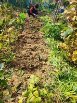 팜모닝 콩·영농일지 게시글 이미지