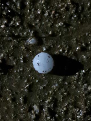 이종춘님의 기타작물 · 자유게시판 작성글 사진