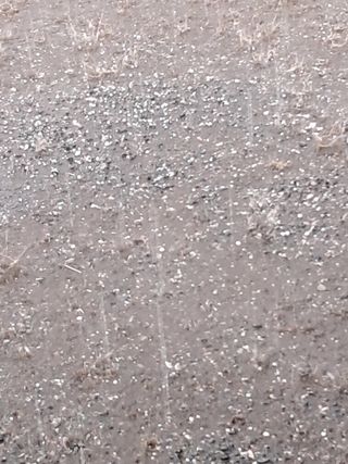 이종춘님의 기타작물 · 자유게시판 작성글 사진