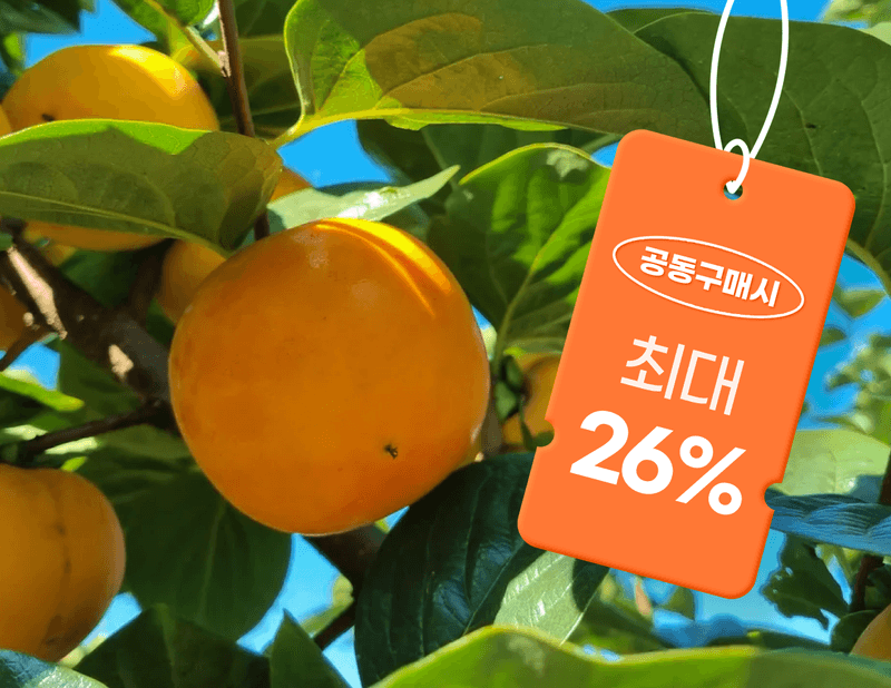 장터 상품 [창녕 부유 단감 판매 3킬로(옵션선택)] 썸네일