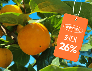 박경민님의 작성글 사진