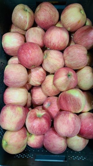 박경민님의 작성글 사진