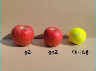박경민님의 작성글 사진