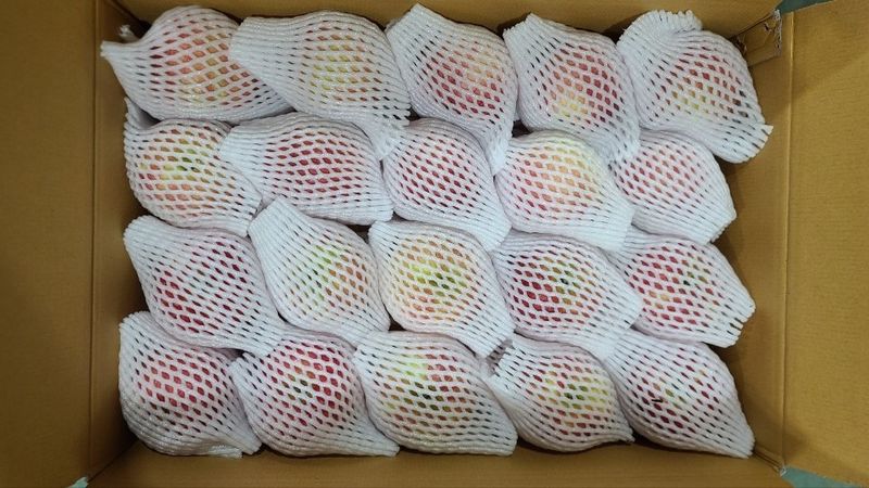 국민농산님의 장터 판매 상품 [영주 사과 부사 2.5kg/5kg] 첨부 사진