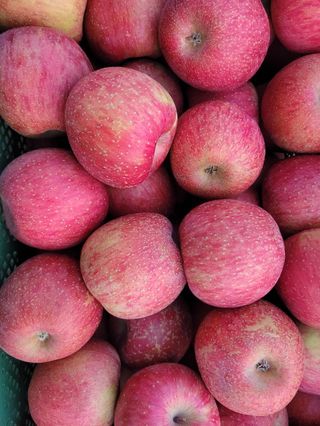 박경민님의 작성글 사진