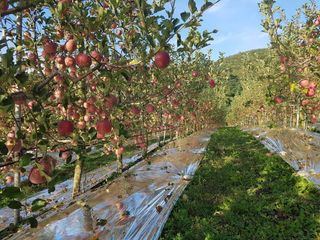 박경민님의 작성글 사진