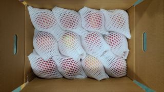 박경민님의 작성글 사진