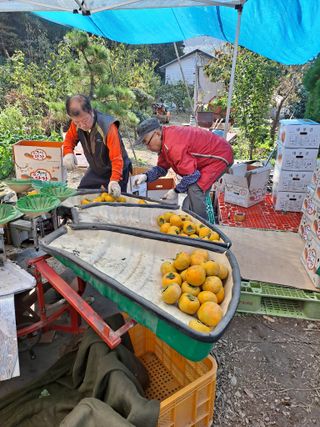 농촌사랑님의 [팜춘문예] 짧은 시 쓰기 · 참여글 작성글 사진