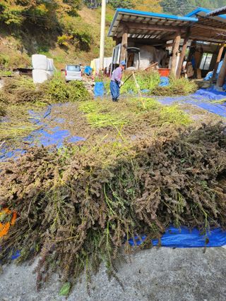 윤미선(농경채인증님의 작성글 사진