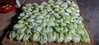 달맛햇복숭아농원님의 자유주제 · 자유게시판 작성글 사진