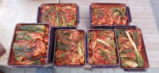 달맛햇복숭아농원님의 자유주제 · 자유게시판 작성글 사진