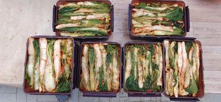 달맛햇복숭아농원님의 자유주제 · 자유게시판 작성글 사진