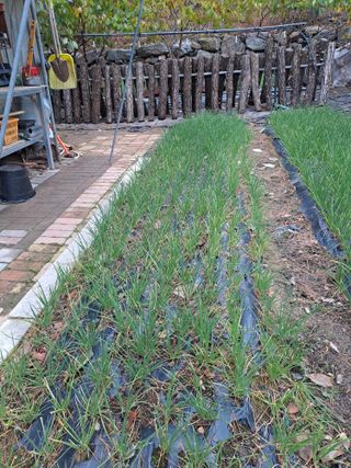 강정희님의 기타작물 · 자유게시판 작성글 사진