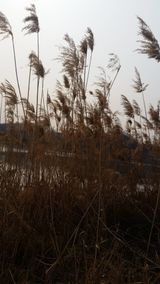 팜모닝 [팜춘문예] 짧은 시 쓰기·참여글 게시글 이미지