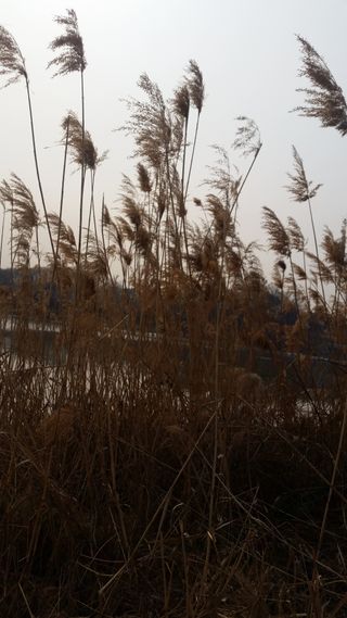 알 수 없음님의 [팜춘문예] 짧은 시 쓰기 · 참여글 작성글 사진