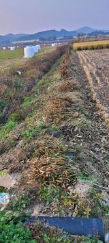 팜모닝 콩·영농일지 게시글 이미지