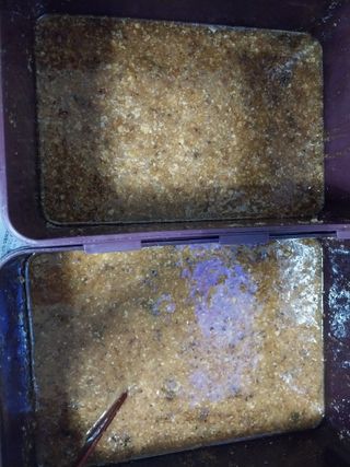 오석한님의 자유주제 · 자유게시판 작성글 사진