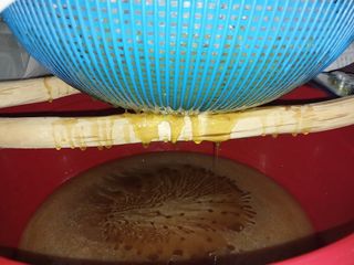 오석한님의 자유주제 · 자유게시판 작성글 사진