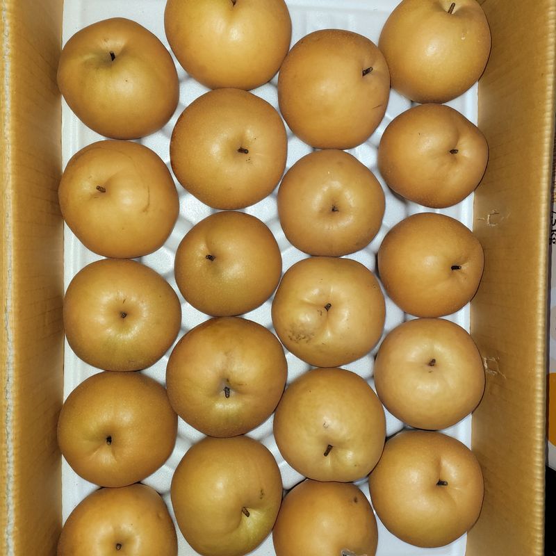 또상농장님의 장터 판매 상품 [신고배7.5kg] 첨부 사진