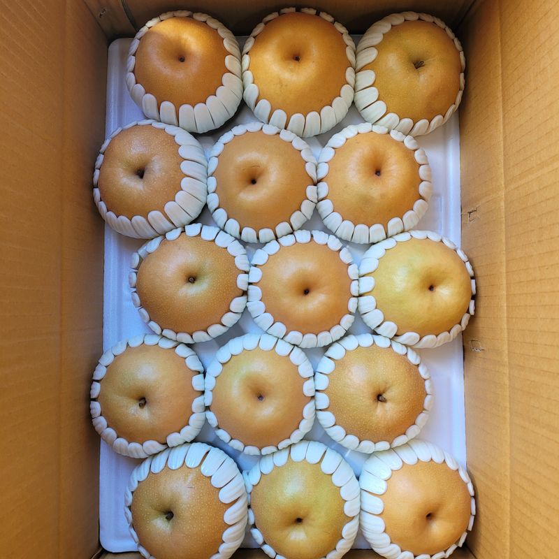 또상농장님의 장터 판매 상품 [신고배7.5kg] 첨부 사진