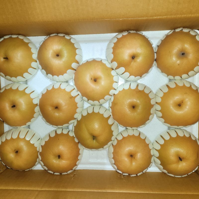 또상농장님의 장터 판매 상품 [신고배7.5kg] 첨부 사진