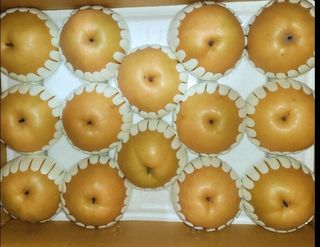 독고다이님의 작성글 사진