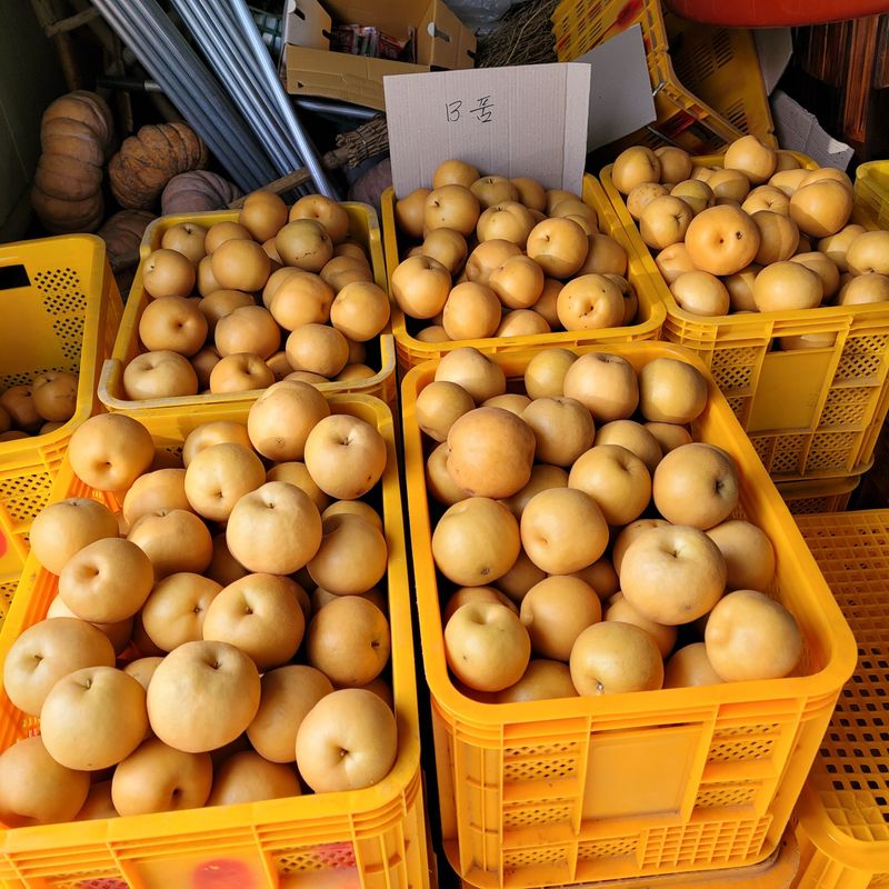 또상농장님의 장터 판매 상품 [신고배7.5kg] 첨부 사진