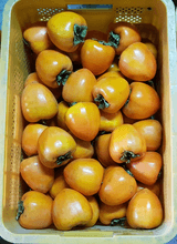 팜모닝 · 게시글 이미지