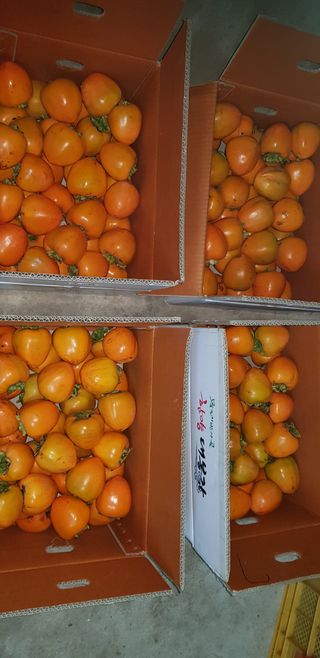 또상농장님의 작성글 사진