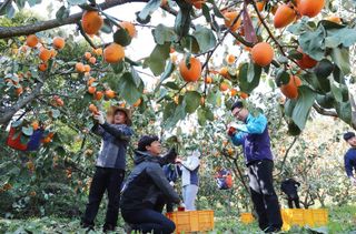 또상농장님의 작성글 사진