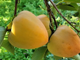 독고다이님의 작성글 사진