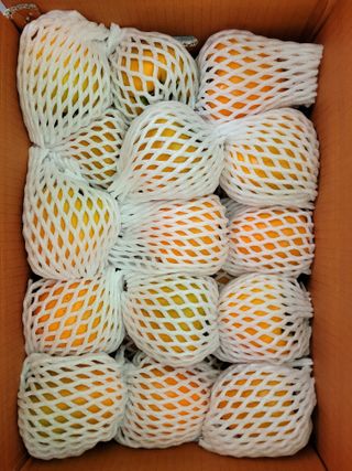 독고다이님의 작성글 사진