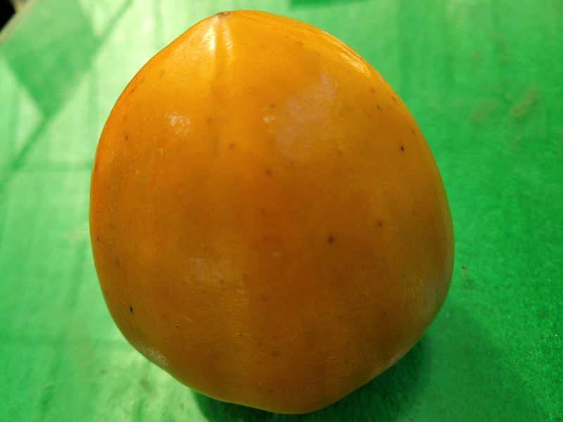 독고다이님의 장터 판매 상품 [ 명품 대봉감 10kg. 무료배송] 첨부 사진