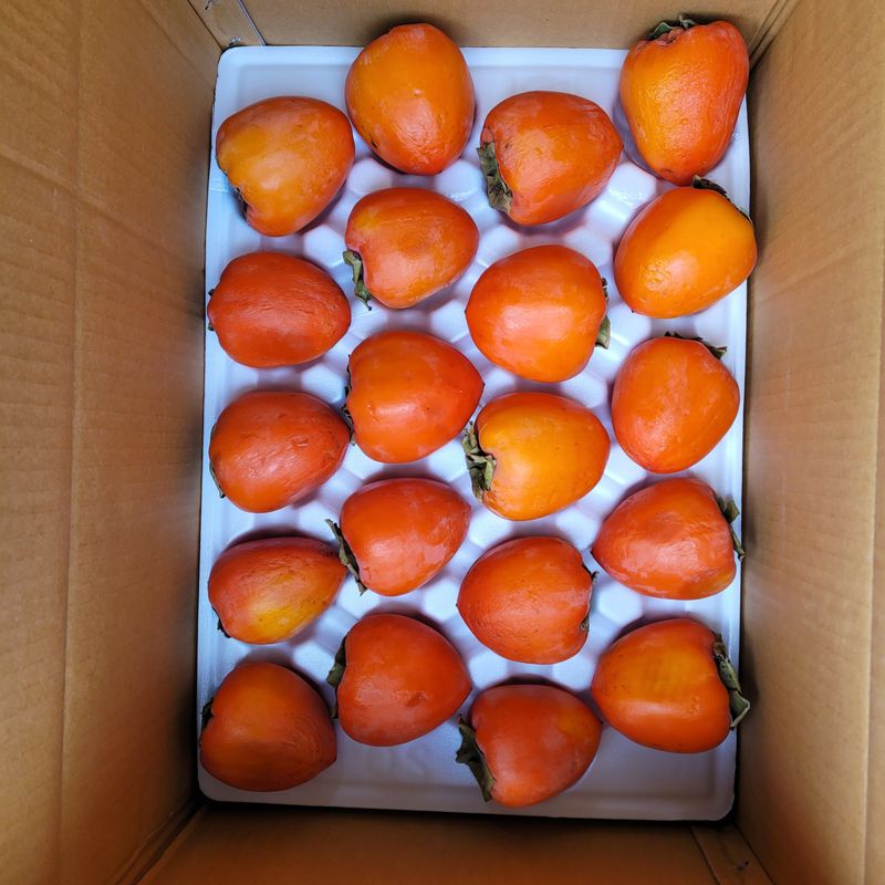 독고다이님의 장터 판매 상품 [ 명품 대봉감 10kg. 무료배송] 첨부 사진