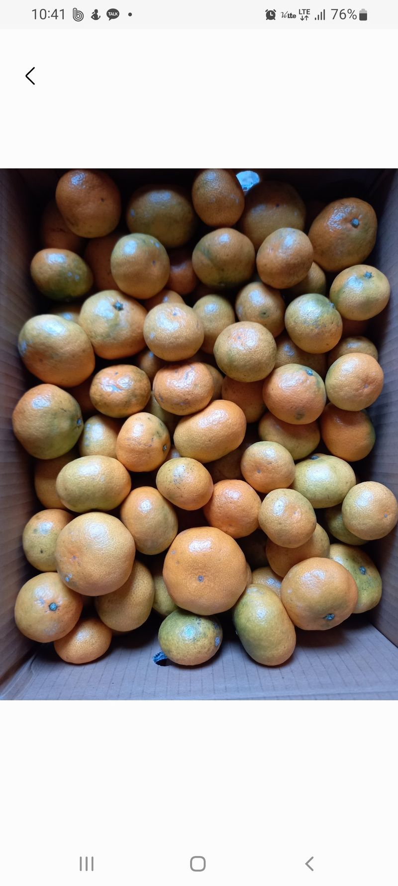 장터 상품 [극조생귤 10키로] 썸네일