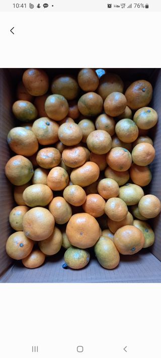 부금리(금강농원)님의 작성글 사진