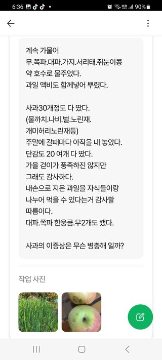 풀잎사랑님의 기타작물 · 영농일지 작성글 사진