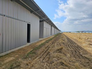 참깨11410님의 자유주제 · 자유게시판 작성글 사진