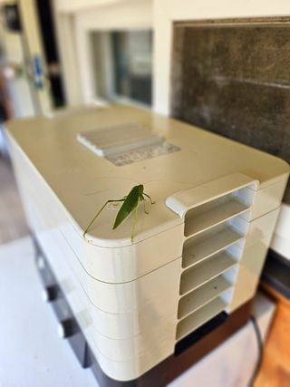 이형록님의 배추 · 수확 작성글 사진