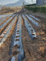 팜모닝 [팜춘문예] 짧은 시 쓰기·참여글 게시글 이미지