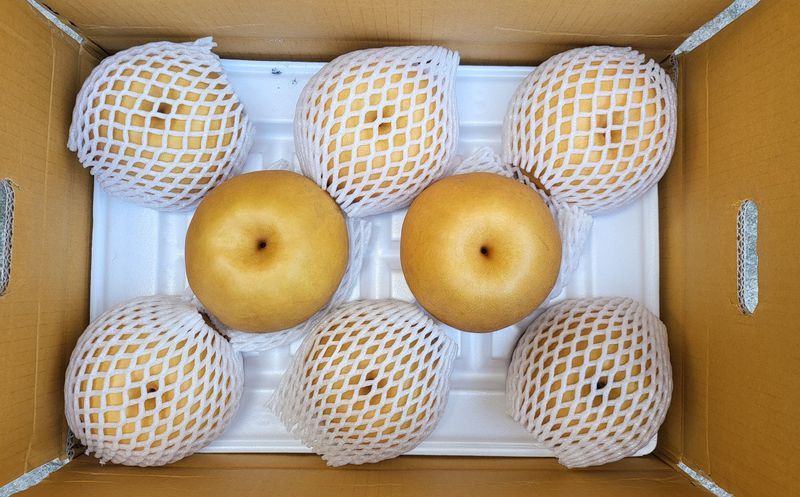 서생배맛나님의 장터 판매 상품 [서생배 15kg 한정판매 ] 첨부 사진