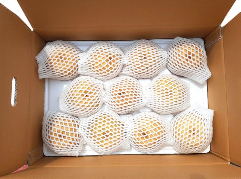 서생배맛나님의 장터 판매 상품 [서생배 15kg 한정판매 ] 첨부 사진